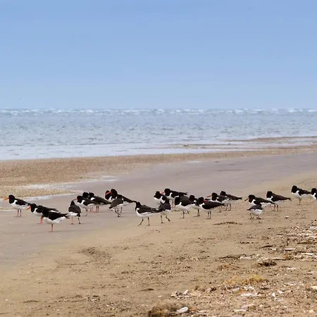 Tranquil In Rindby-by Traum Nyaraló