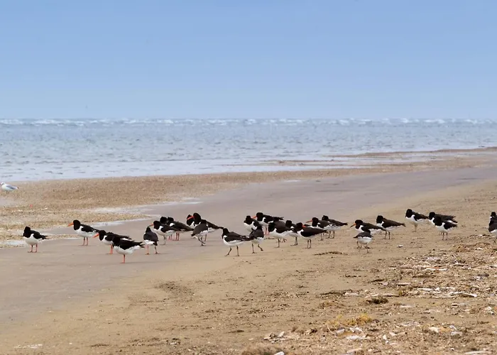 Tranquil In Rindby-by Traum Σπίτι διακοπών